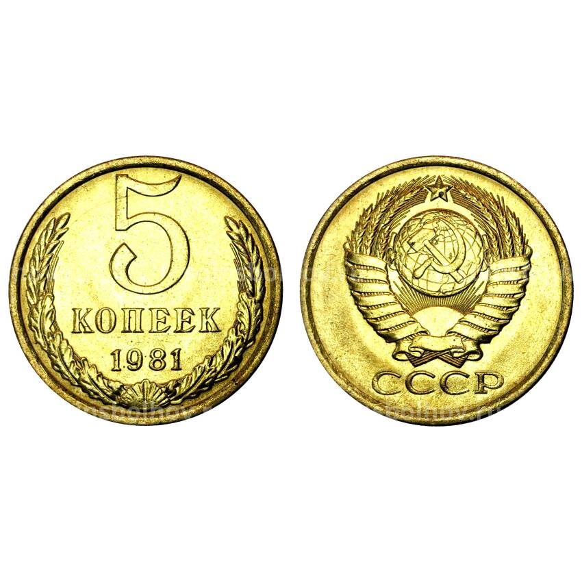 Монета 5 копеек 1981 года - UNC