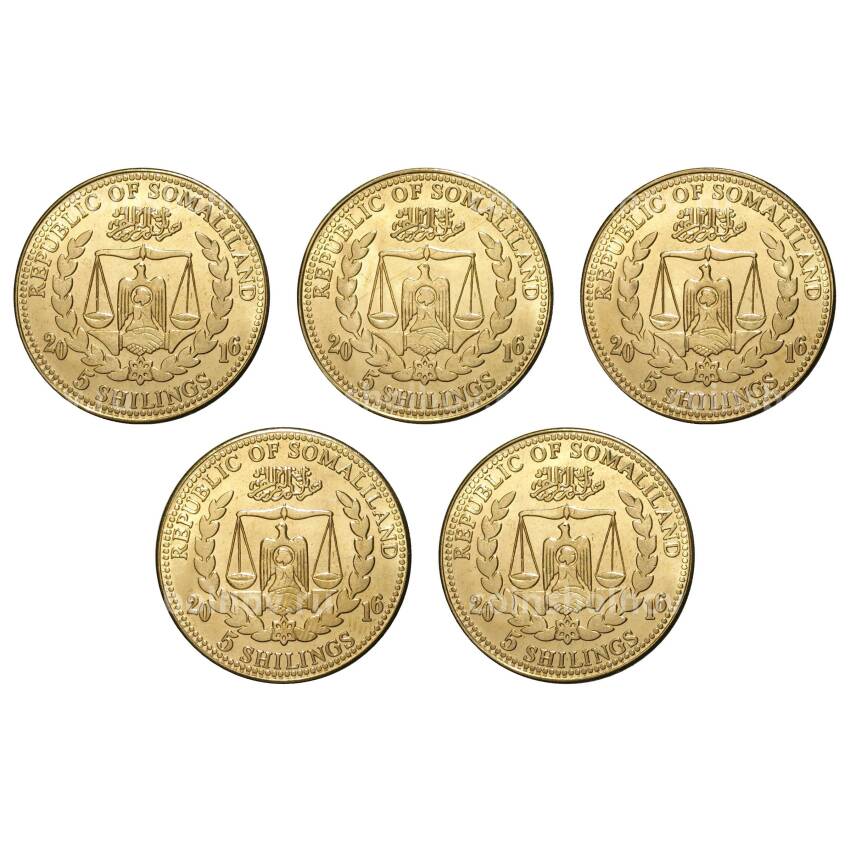 Набор монет 5 шиллингов 2016 года Большие кошки (вид 2)