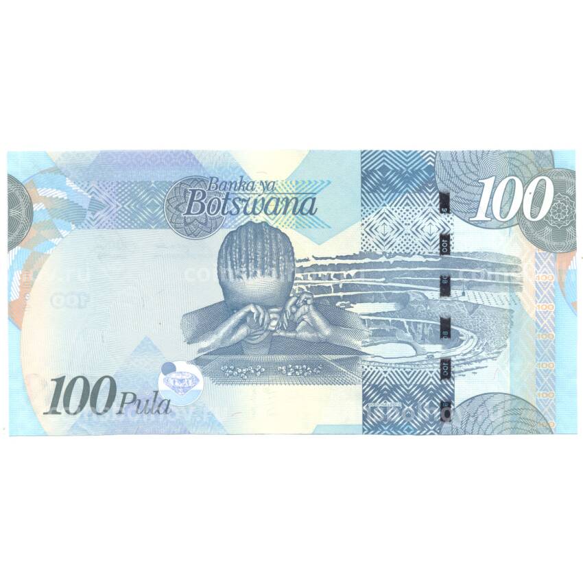Банкнота 100 пула 2009 года (вид 2)
