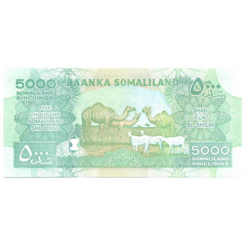 Банкнота 5000 шиллингов 2011 года (вид 2)