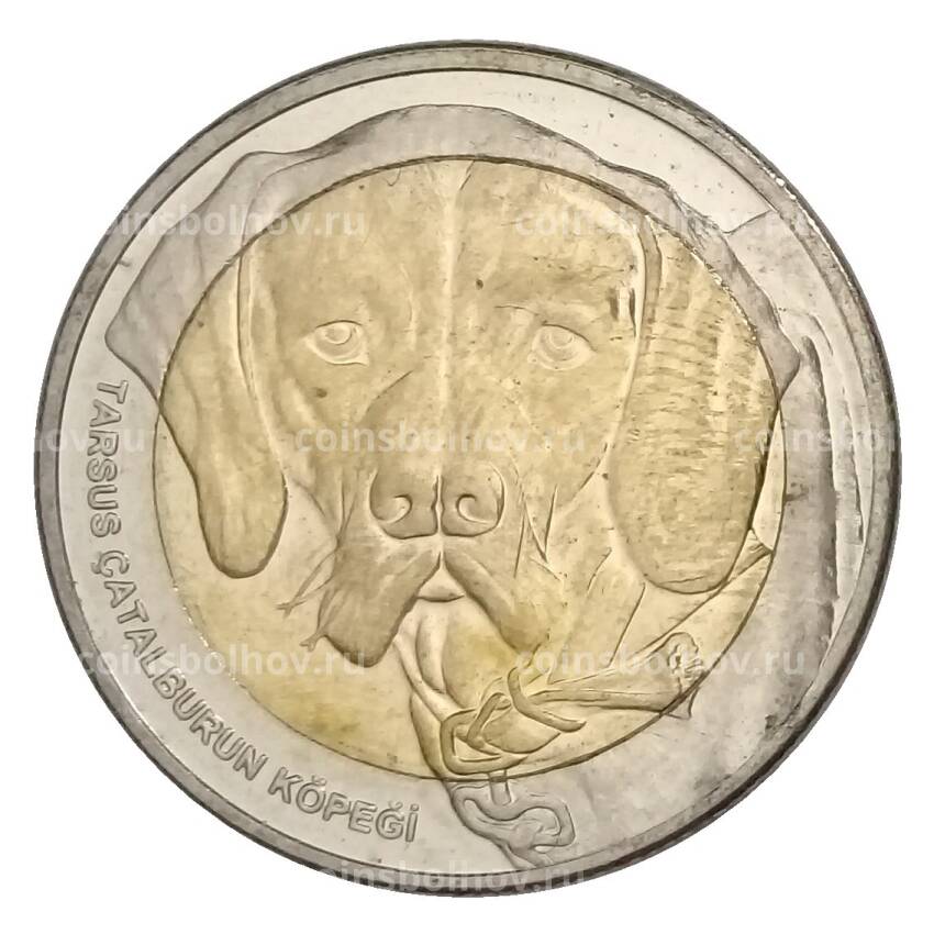 Монета 1 куруш 2021 года Турция — Каталбурун