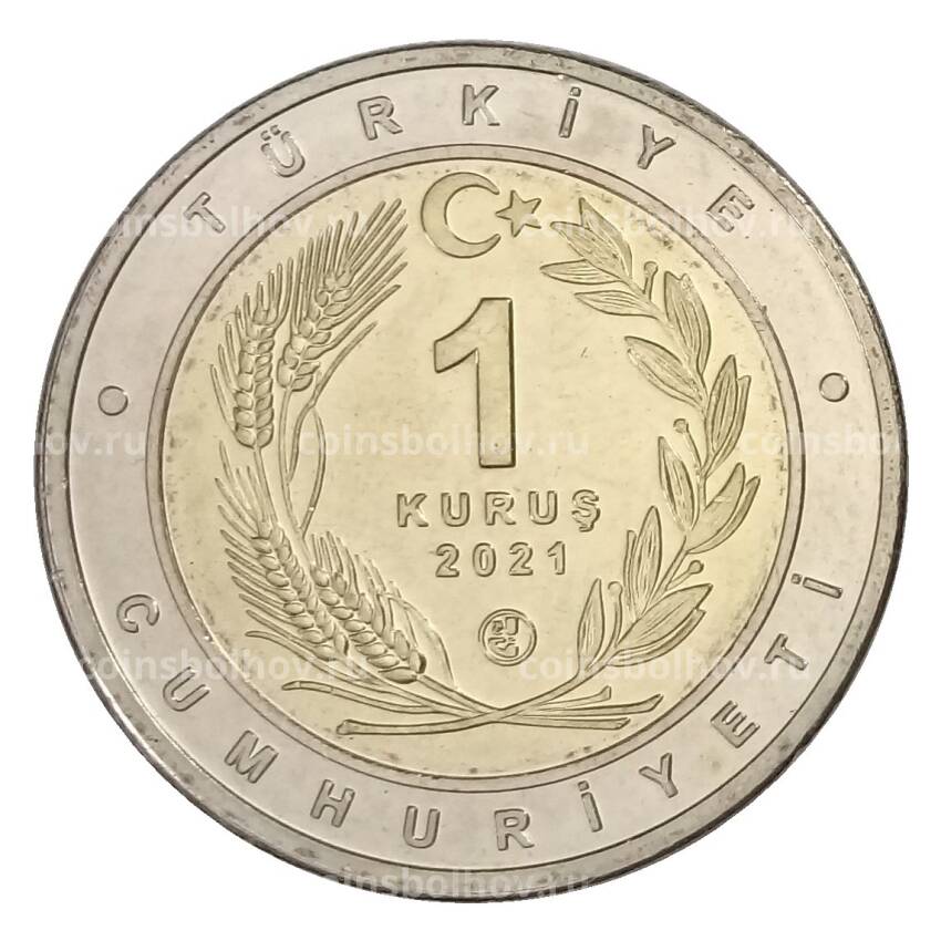 Монета 1 куруш 2021 года Турция — Каракал (вид 2)
