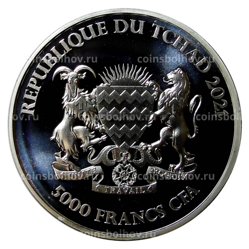 Монета 5000 франков 2021 года Чад —  Мандала - Бородавочник (вид 2)