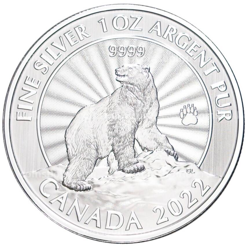 Монета 5 долларов 2022 года Канада — Белый медведь (в блистере)