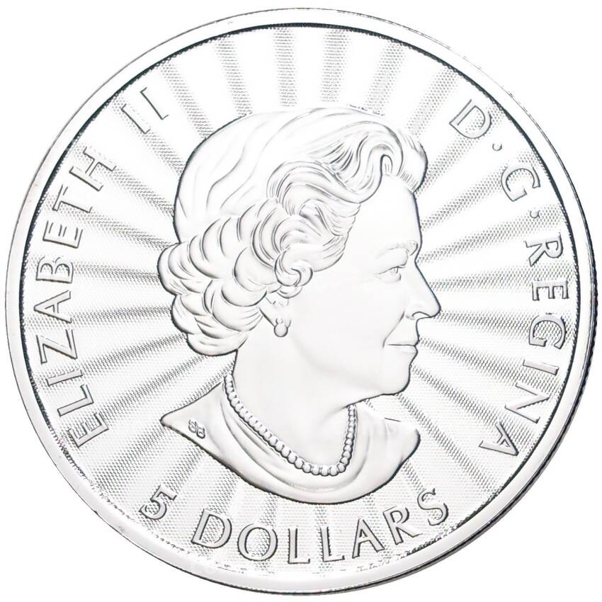 Монета 5 долларов 2022 года Канада — Белый медведь (в блистере) (вид 2)