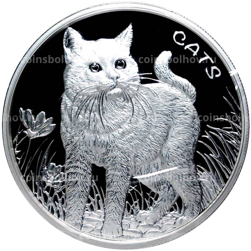 Монета 50 центов 2021 года Фиджи —  Кошки