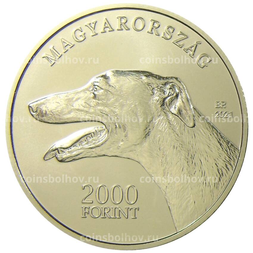 Монета 2000 форинтов 2021 года Венгрия — Венгерская борзая (вид 2)