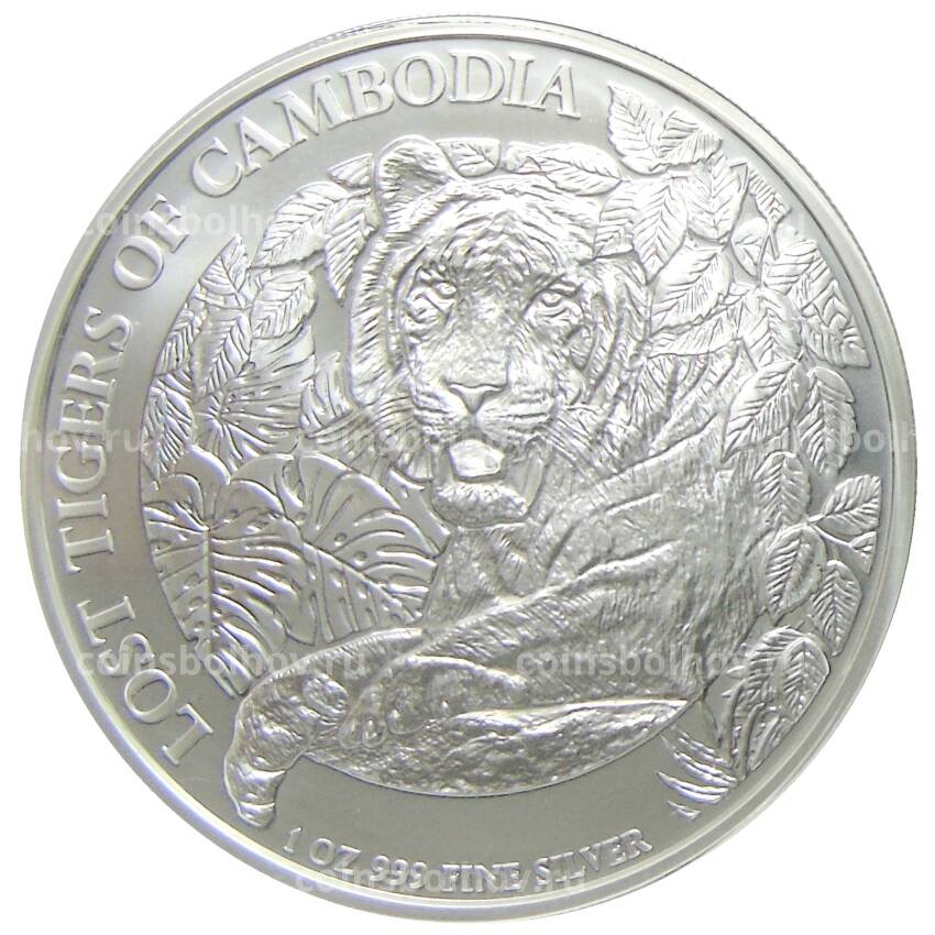 Монета 3000 риэлей 2023 года Камбоджа — Потеряннные тигры Камбоджи