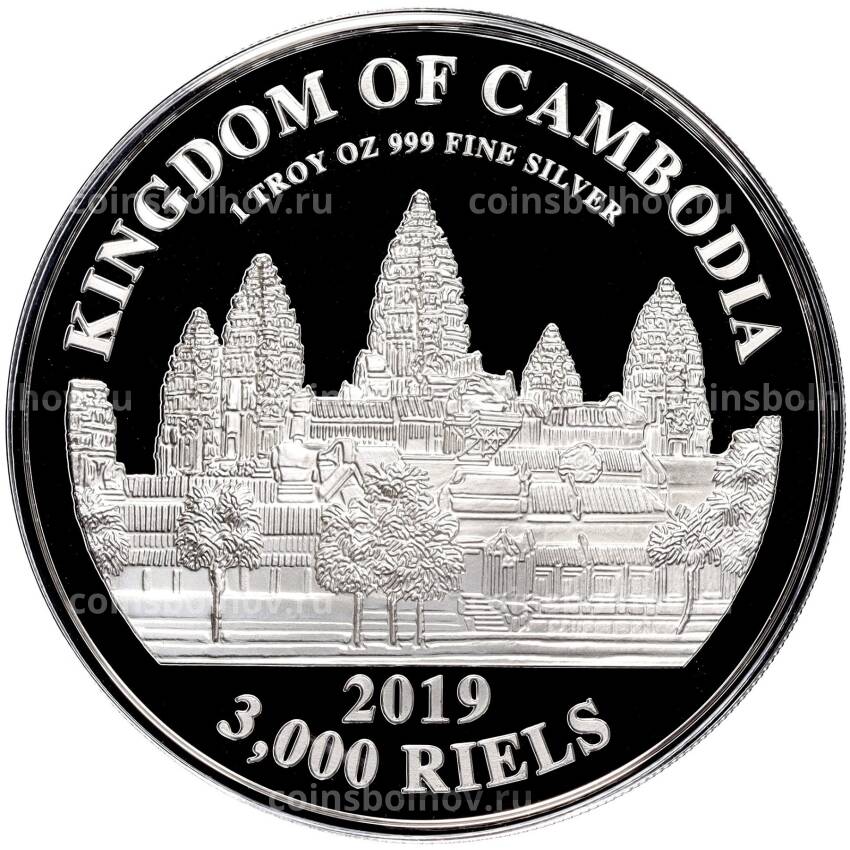 Монета 3000 риелей 2019 года Камбоджа «Китайский гороскоп — Год свиньи» (вид 2)