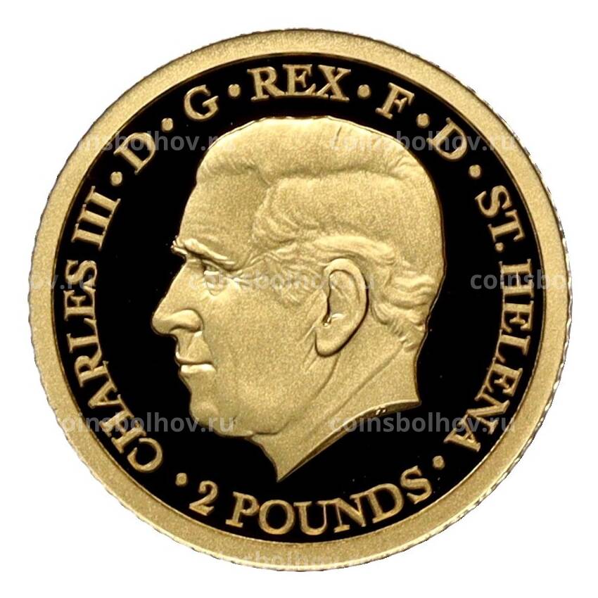 Монета 2 фунта 2024 года Остров Святой Елены «Уна и лев» (в коробке) (вид 2)