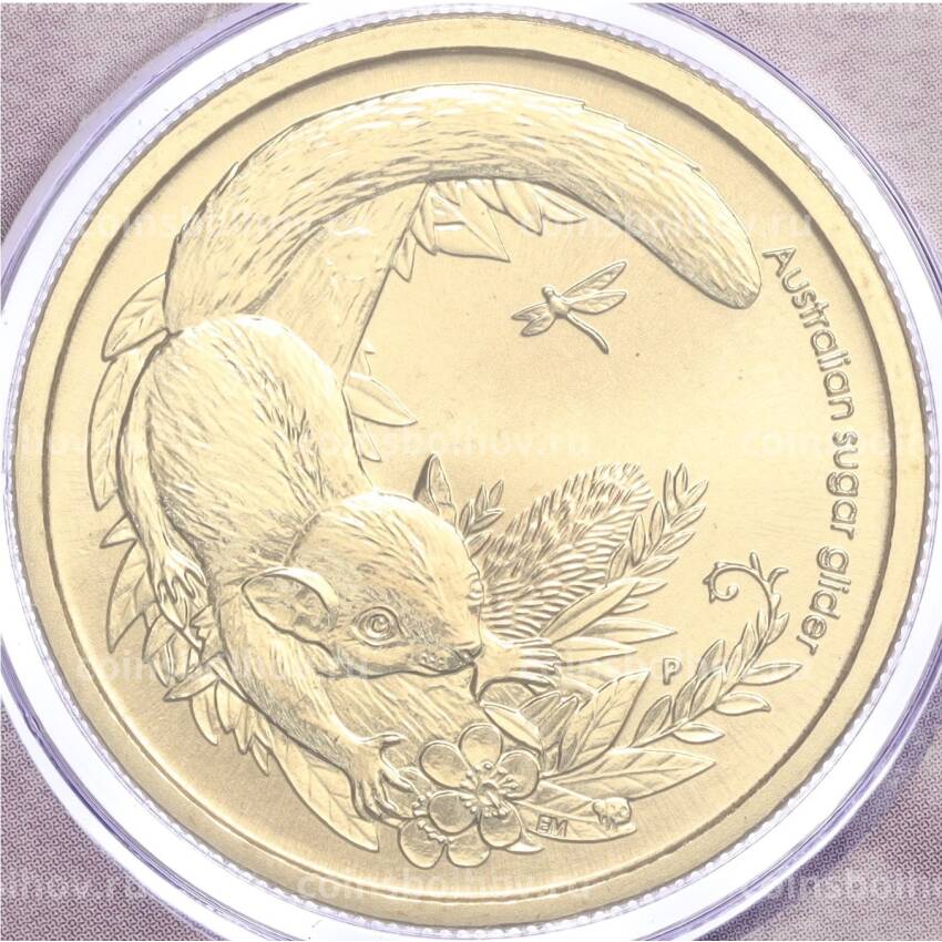 Монета 1 доллар 2011 года Австралия «Детеныши диких животных — Сахарная летяга» (в конверте с почтовой маркой)
