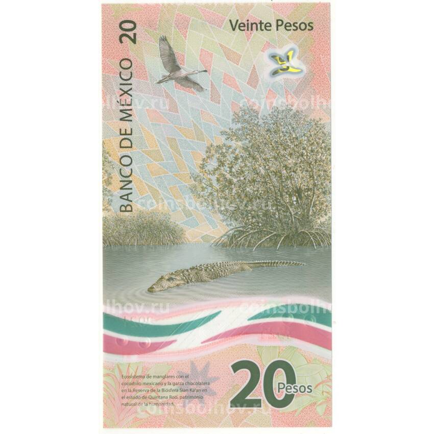 Банкнота 20 песо 2021 года Мексика (вид 2)
