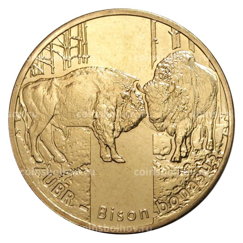 Монета 2 злотых 2013 года Зубр
