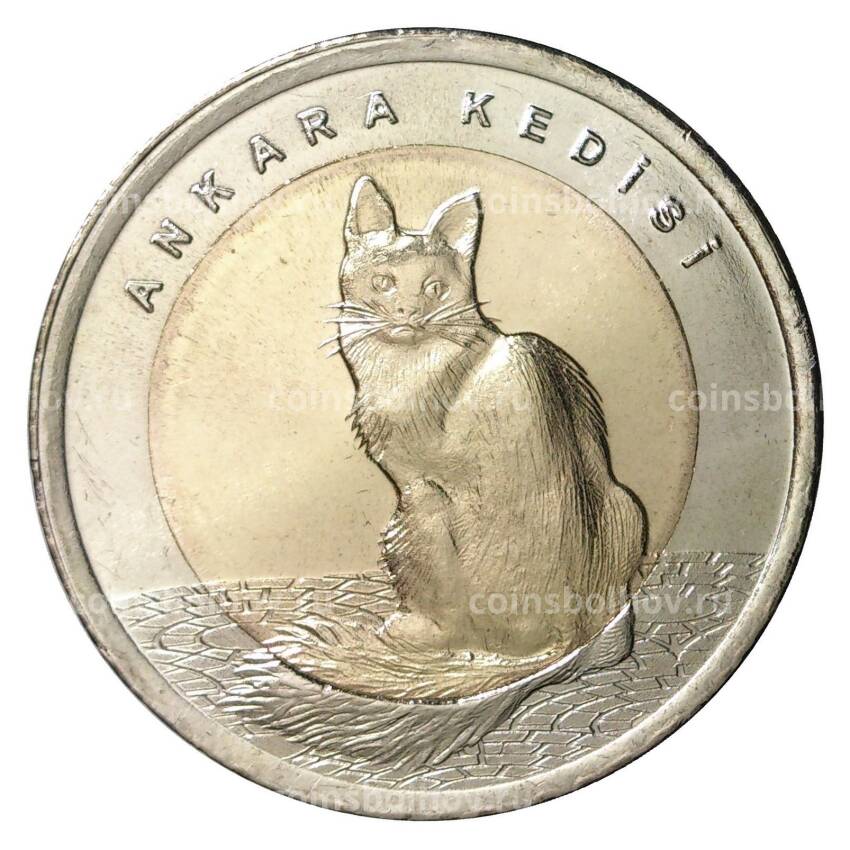 Монета 1 лира 2015 года Ангорская кошка