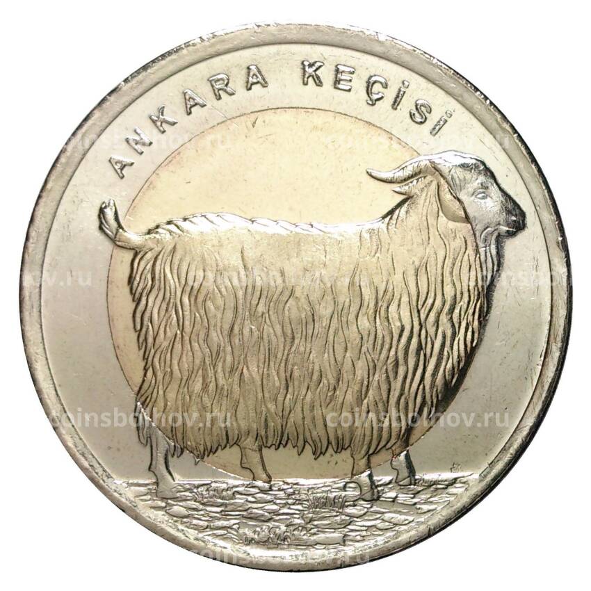 Монета 1 лира 2015 года Ангорская коза