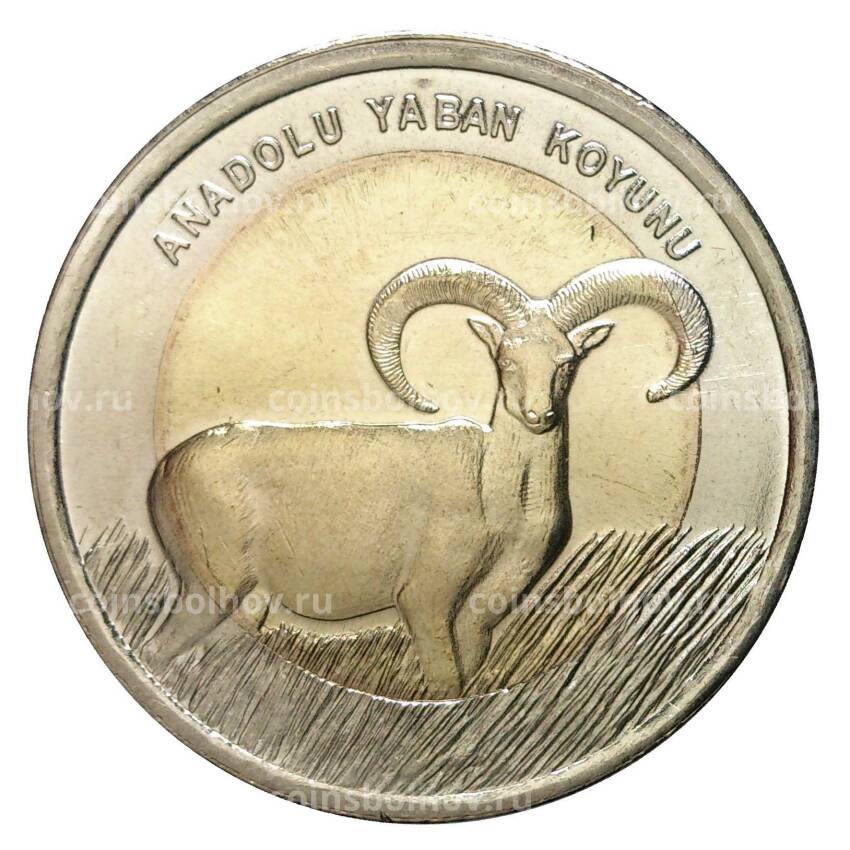 Монета 1 лира 2015 года Азиатский муфлон