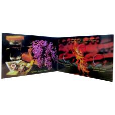 Альбом-планшет для 10-рублевых монет 2015 года серии 70 лет Победы (вид 2)