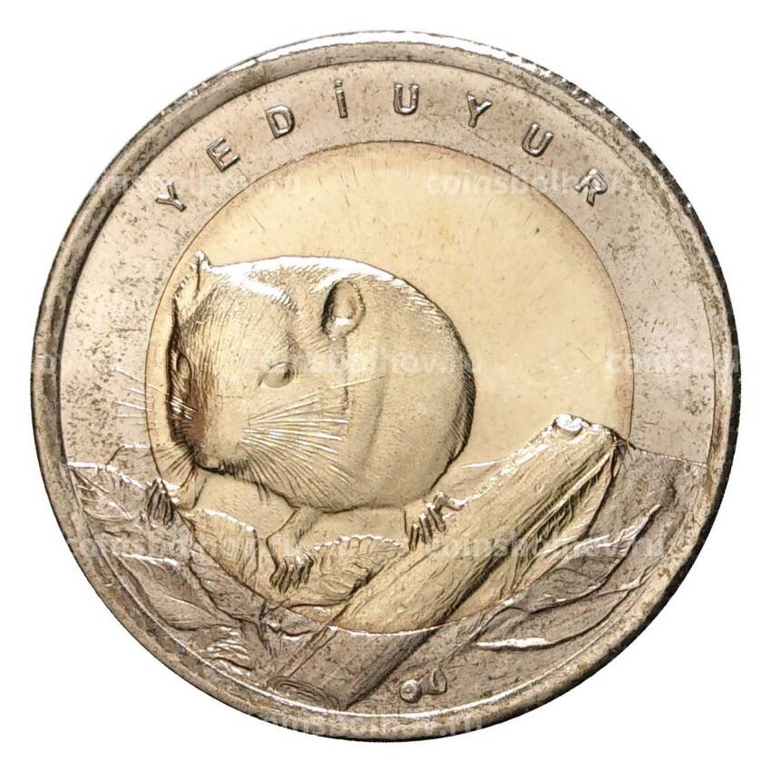 Монета 1 лира 2016 года Соня
