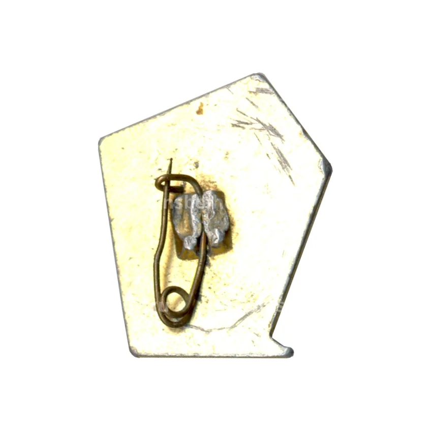 Значок Сочи (вид 2)