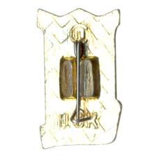 Значок Горький (вид 2)