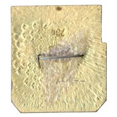 Значок Владимир (вид 2)