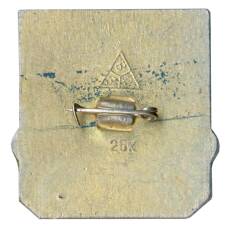 Значок Владимир (вид 2)