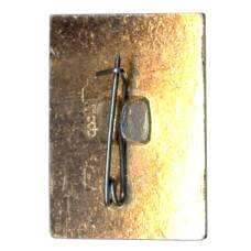 Значок Пятигорск (вид 2)