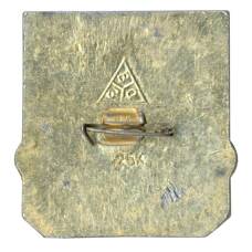 Значок Владимир (вид 2)