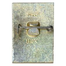 Значок Владимир (вид 2)