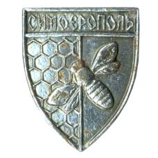 Значок Симферополь