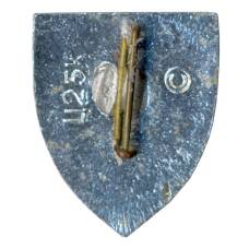 Значок Симферополь (вид 2)