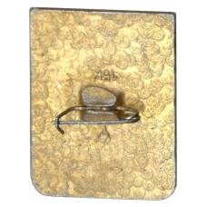 Значок Гусь-Хрустальный (вид 2)