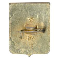 Значок Владимир (вид 2)