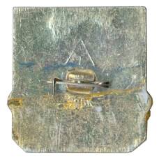 Значок Владимир (вид 2)