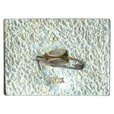 Значок Владимир (вид 2)