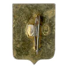 Значок Владимир (вид 2)