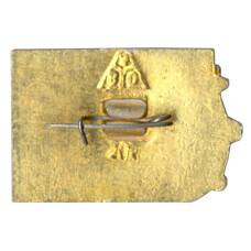 Значок Владимир (вид 2)