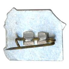 Значок Рига (вид 2)