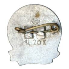 Значок Рига (вид 2)