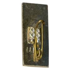 Значок Карпаты (вид 2)