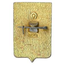 Значок Ростов на Дону (вид 2)