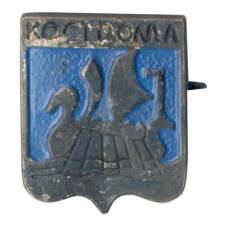 Значок Кострома