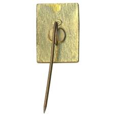 Значок Друскининкай (вид 2)