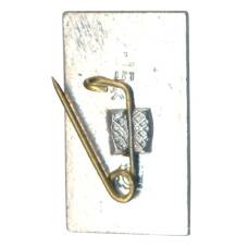 Значок Киев (вид 2)