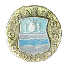 Значок Золотое кольцо - Плёс
