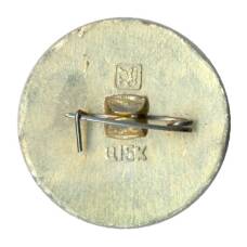 Значок Золотое кольцо - Переяславль (вид 2)