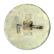 Значок Золотое кольцо - Переяславль (вид 2)