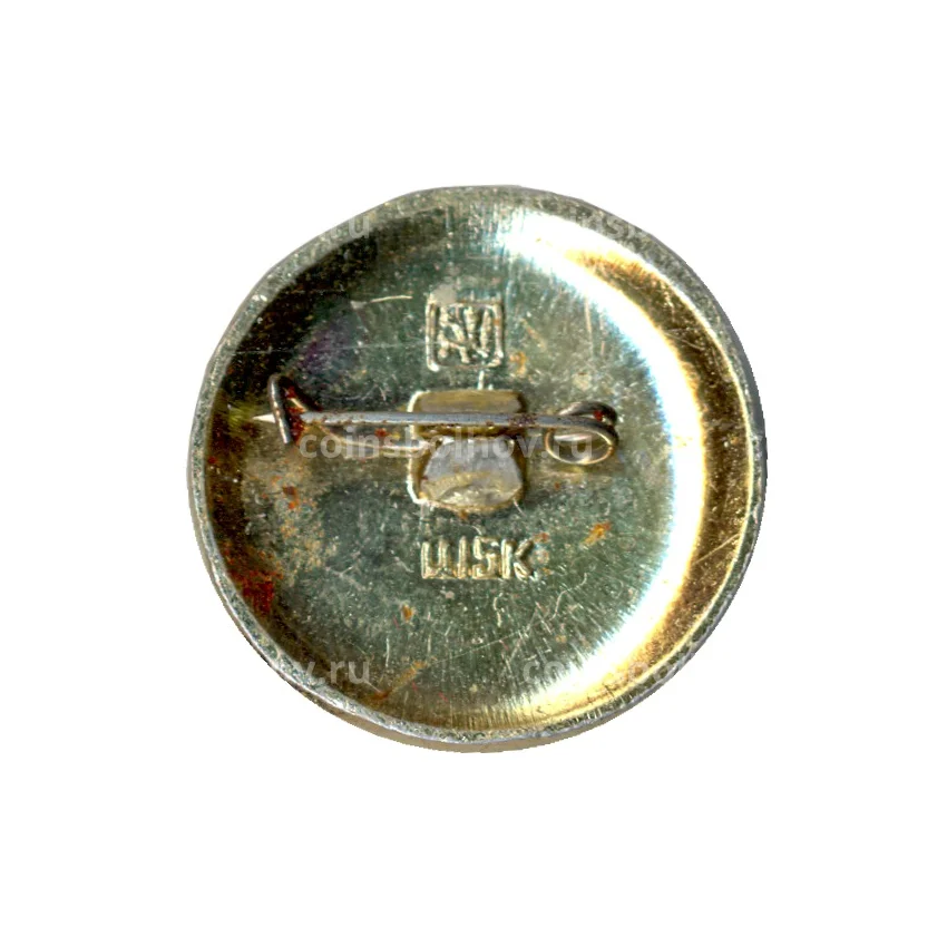 Значок Золотое кольцо - Суздаль (вид 2)