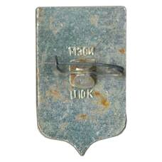 Значок Тихвин (вид 2)