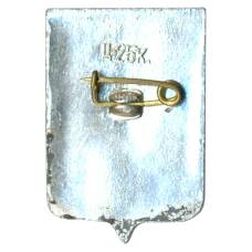 Значок Новгород (вид 2)